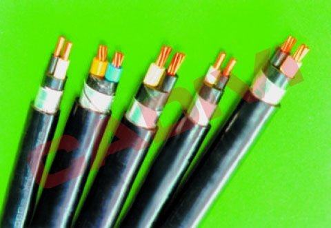 Cáp Điện Kế (muller)