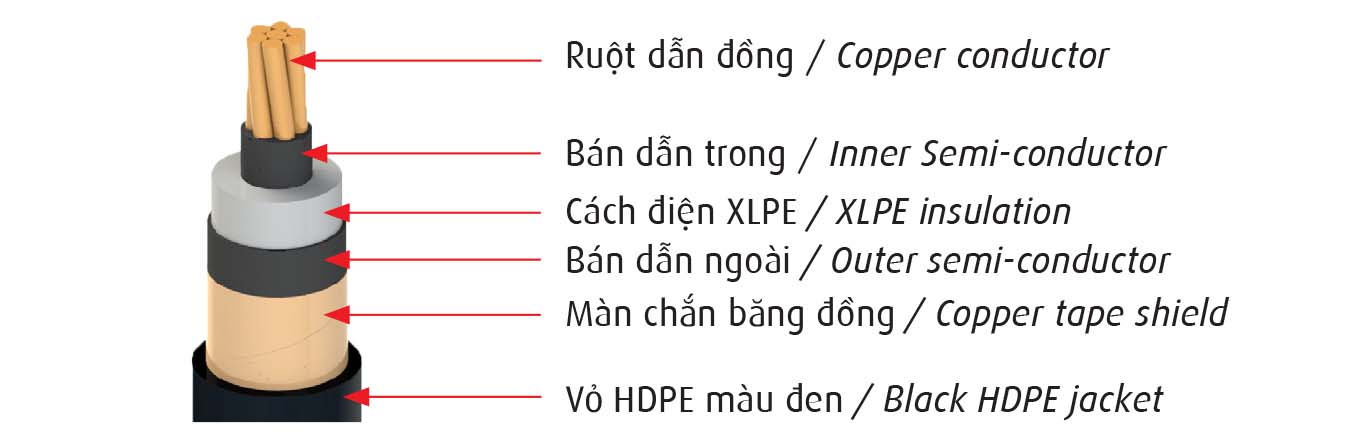 CXE_S_1x6_mm2